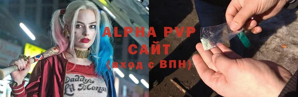 прущие грибы Горнозаводск