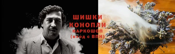 прущие грибы Горнозаводск