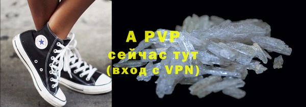 прущие грибы Горнозаводск