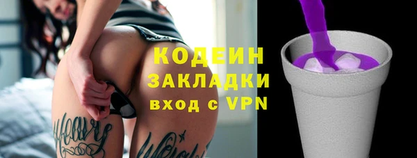 прущие грибы Горнозаводск
