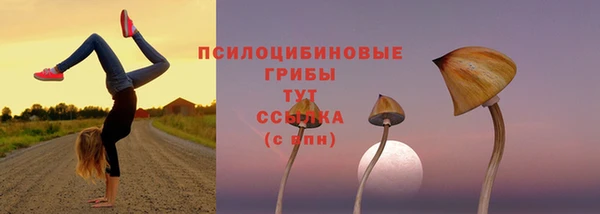 кокаин премиум Горно-Алтайск