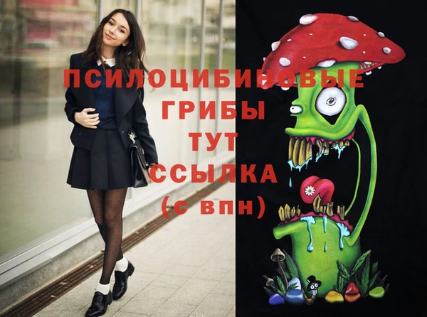 эйфоретик Горняк
