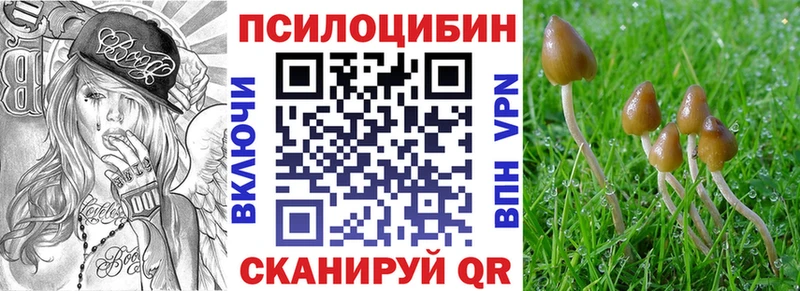 Псилоцибиновые грибы мицелий  Купить где  Краснослободск 