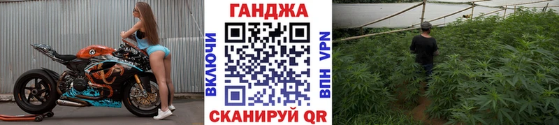 Купить закладки  Краснослободск  Каннабис семена 